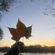 ヒメ日記 2025/11/30 13:03 投稿 きら 排泄マニア