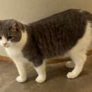 ヒメ日記 2026/01/15 21:35 投稿 きら 排泄マニア