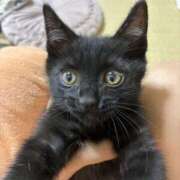 ヒメ日記 2025/06/30 19:55 投稿 ななこ BABY LIPS