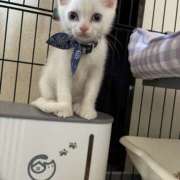 ヒメ日記 2025/07/21 20:04 投稿 ななこ BABY LIPS