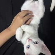 ヒメ日記 2025/08/09 19:22 投稿 ななこ BABY LIPS