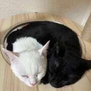 ヒメ日記 2025/09/22 17:25 投稿 ななこ BABY LIPS