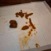 ヒメ日記 2025/06/18 12:11 投稿 れおな(大阪店) 排泄マニア