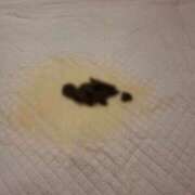 ヒメ日記 2025/06/24 17:17 投稿 れおな(大阪店) 排泄マニア