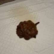 ヒメ日記 2025/06/27 21:20 投稿 れおな(大阪店) 排泄マニア