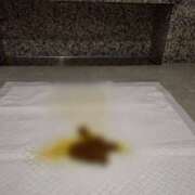 ヒメ日記 2025/08/24 15:44 投稿 れおな(大阪店) 排泄マニア