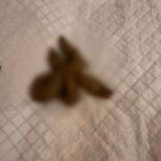 ヒメ日記 2025/08/31 00:16 投稿 れおな(大阪店) 排泄マニア