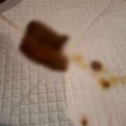 ヒメ日記 2025/09/09 02:02 投稿 れおな(大阪店) 排泄マニア