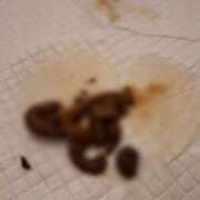 れおな(大阪店) 初めましてさん！ 排泄マニア