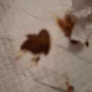 れおな(大阪店) 今日の💩 排泄マニア
