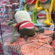 ヒメ日記 2025/11/14 21:51 投稿 りいさ 櫻女学院