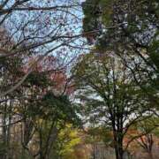 ヒメ日記 2025/11/27 10:01 投稿 りいさ 櫻女学院