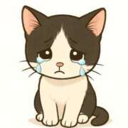 ヒメ日記 2025/12/19 17:19 投稿 こはく クラブバカラ