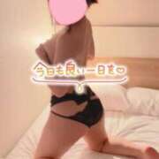 ヒメ日記 2025/09/23 19:08 投稿 珠樹-たまき【FG系列】 ほんつま千葉店（FG系列）