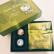 ヒメ日記 2026/03/10 08:04 投稿 シイナ 月兎（GET）