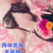 ヒメ日記 2025/07/27 11:51 投稿 藤本まみ 月の真珠-五反田-