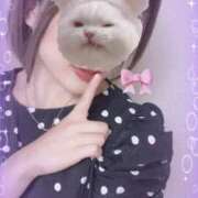 ヒメ日記 2025/07/27 15:26 投稿 藤本まみ 月の真珠-五反田-