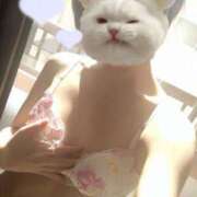 ヒメ日記 2025/07/29 14:26 投稿 藤本まみ 月の真珠-五反田-