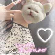 ヒメ日記 2025/08/01 10:06 投稿 藤本まみ 月の真珠-五反田-