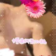 ヒメ日記 2025/08/23 11:56 投稿 藤本まみ 月の真珠-五反田-