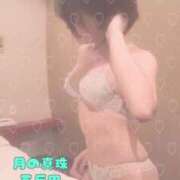 ヒメ日記 2025/08/31 02:46 投稿 藤本まみ 月の真珠-五反田-