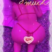 ヒメ日記 2026/04/04 20:23 投稿 藤本まみ 月の真珠-五反田-