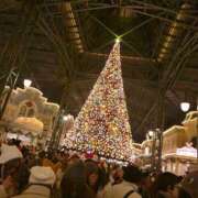 ヒメ日記 2025/11/12 18:22 投稿 エマ 池袋マリン別館