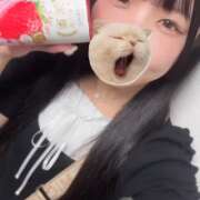 ヒメ日記 2025/06/19 06:17 投稿 みはる【天性の癒し系美女】 STELLA NEXT－ステラネクスト－