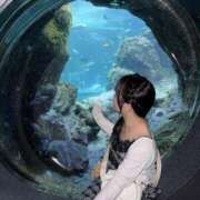 ヒメ日記 2025/09/17 17:19 投稿 みはる【天性の癒し系美女】 STELLA NEXT－ステラネクスト－