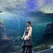 ヒメ日記 2025/09/19 04:30 投稿 みはる【天性の癒し系美女】 STELLA NEXT－ステラネクスト－