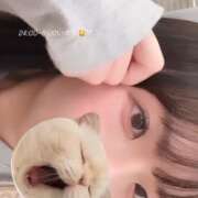 ヒメ日記 2025/10/04 22:47 投稿 みはる【天性の癒し系美女】 STELLA NEXT－ステラネクスト－