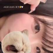 ヒメ日記 2025/10/28 23:48 投稿 みはる【天性の癒し系美女】 STELLA NEXT-ステラネクスト-