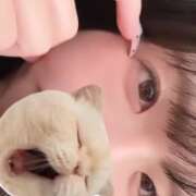 ヒメ日記 2025/10/29 23:29 投稿 みはる【天性の癒し系美女】 STELLA NEXT-ステラネクスト-