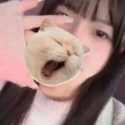 ヒメ日記 2025/10/30 06:42 投稿 みはる【天性の癒し系美女】 STELLA NEXT-ステラネクスト-