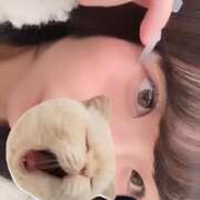 ヒメ日記 2026/01/14 23:37 投稿 みはる【天性の癒し系美女】 STELLA NEXT－ステラネクスト－