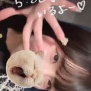 ヒメ日記 2026/02/21 00:15 投稿 みはる【天性の癒し系美女】 STELLA NEXT－ステラネクスト－