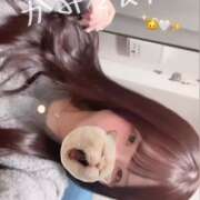 みはる【天性の癒し系美女】 🐱ᩚ🆕✨️ STELLA NEXT－ステラネクスト－