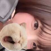 ヒメ日記 2026/04/24 05:36 投稿 みはる【天性の癒し系美女】 STELLA NEXT－ステラネクスト－