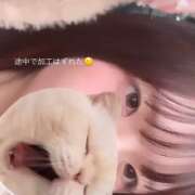 ヒメ日記 2026/04/25 06:04 投稿 みはる【天性の癒し系美女】 STELLA NEXT－ステラネクスト－