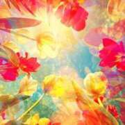 ヒメ日記 2025/07/24 12:49 投稿 西　ひとみ FORTE