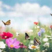 ヒメ日記 2025/08/03 20:49 投稿 西　ひとみ FORTE