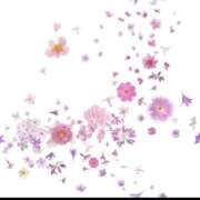 ヒメ日記 2025/09/19 17:39 投稿 西　ひとみ FORTE