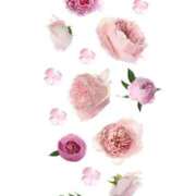 ヒメ日記 2025/09/19 18:17 投稿 西　ひとみ FORTE