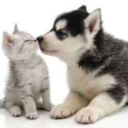 ヒメ日記 2025/10/28 09:29 投稿 西　ひとみ FORTE