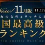 ヒメ日記 2025/11/25 18:29 投稿 西　ひとみ FORTE