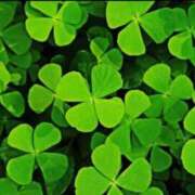 ヒメ日記 2026/01/13 22:49 投稿 西　ひとみ FORTE