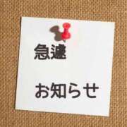 ヒメ日記 2026/03/11 23:19 投稿 西　ひとみ FORTE