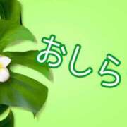 ヒメ日記 2026/04/30 17:50 投稿 西　ひとみ FORTE