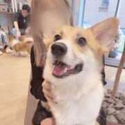 ヒメ日記 2025/10/28 04:34 投稿 まお デザインプリズム新宿