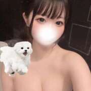 ヒメ日記 2025/07/27 12:50 投稿 ゆめな まだ舐めたくて学園渋谷校〜舐めたくてグループ〜